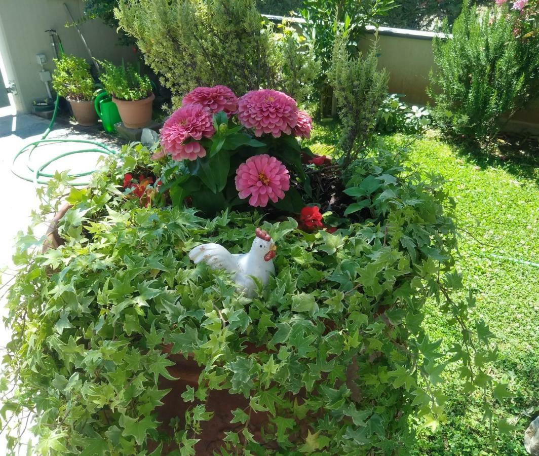 Appartamento Berlicche Agliana Exteriör bild